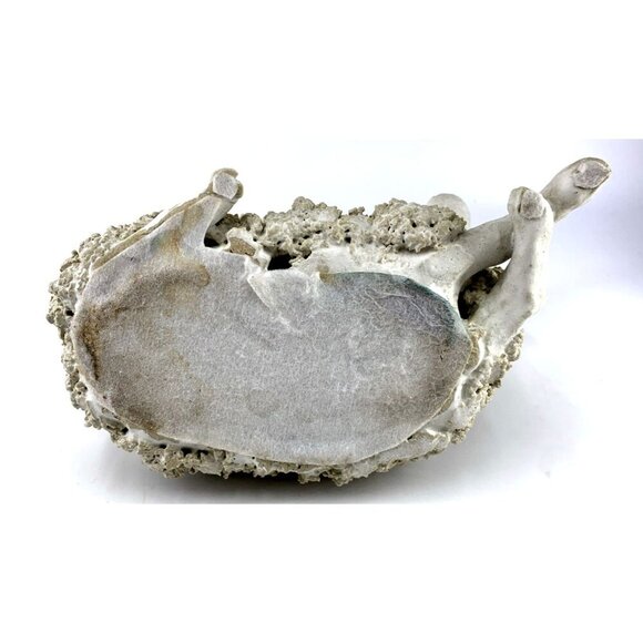 Spaghetti Sheep Sculpture Figurine Shelf sitter Hand Crafted 9" Long Vintage - Picture 7 of 7